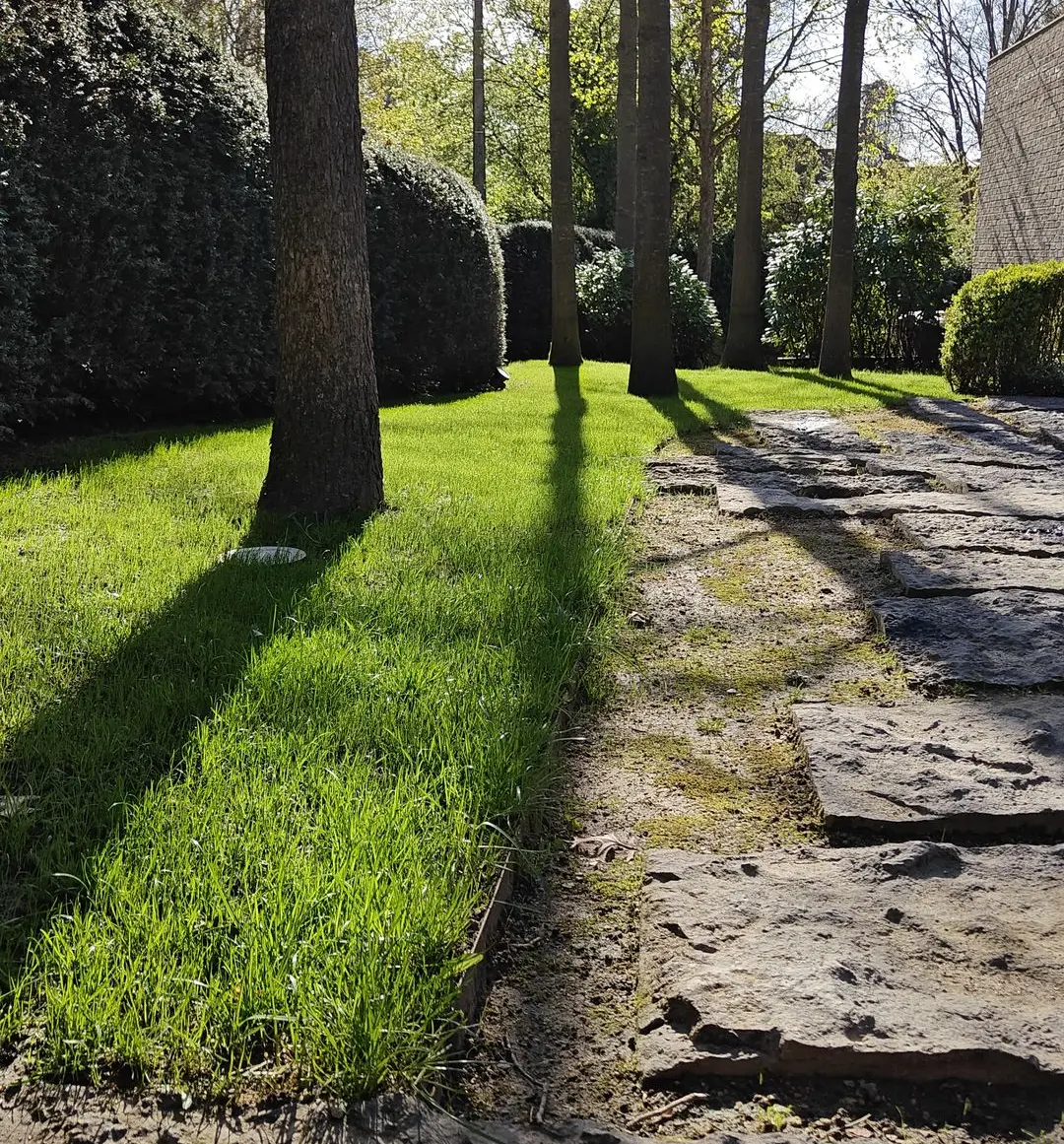 Pas japonais en dalles naturelles dans un jardin paysager avec pelouse et haies taillées en taupière à La Hulpe, Brabant-Wallon