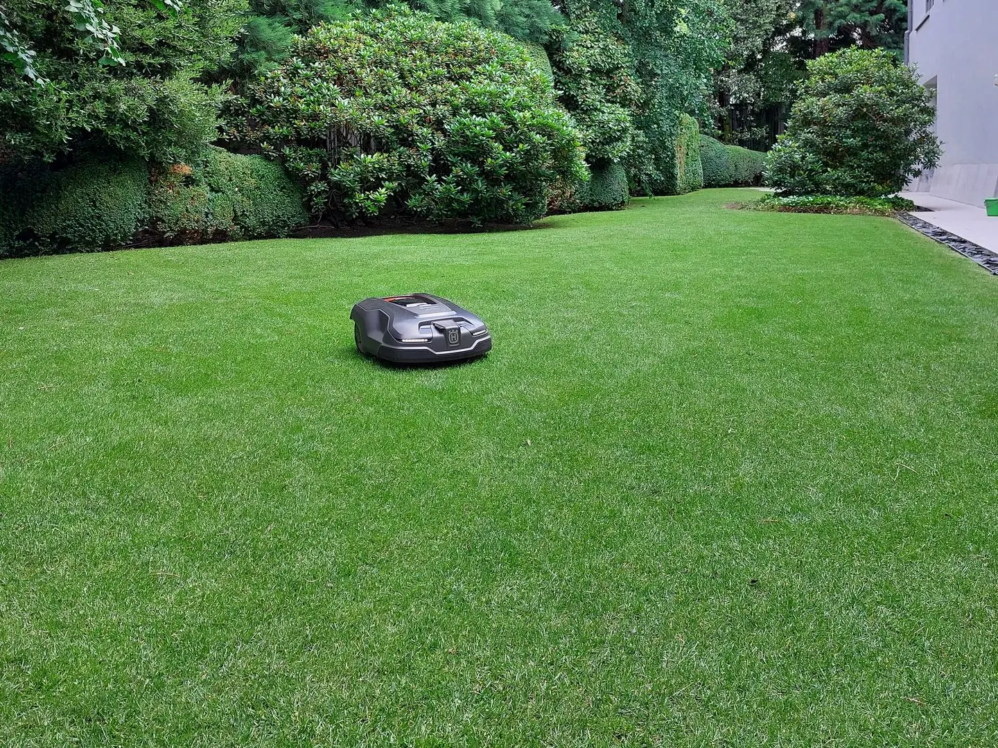 Pelouse dense et verte, entretenue avec robot tondeuse, haies et arbres en arrière-plan dans un jardin paysager à Saint-Gilles Bruxelles